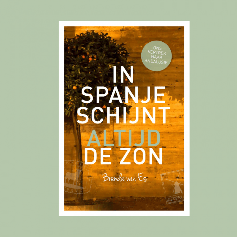 Boek Zo Doe Je Dat Je Levensverhaal Schrijven Brenda Van Es Het Boek