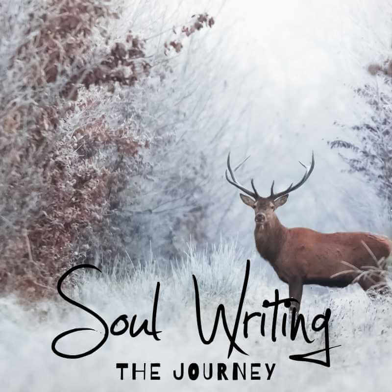 Soul Writing live • The Journey (nieuw!)