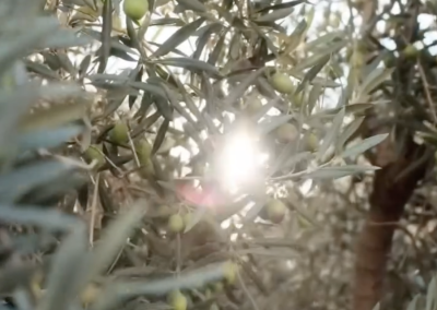 Vervolgweek (retraite Spanje)